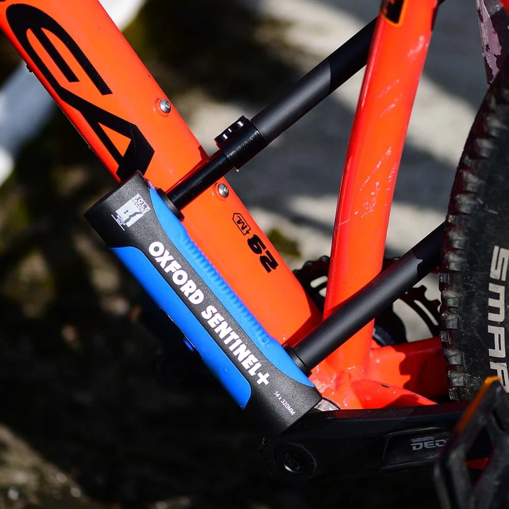 Online Shopping Fashion Oxford Sentinel Pro Gold